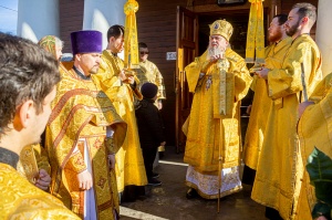 ������� ������ ��������� ����������� ��������� ����������� ������ ������ �����������