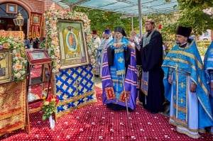 � ���������� ���������� �����-����������� ����� ������ ������