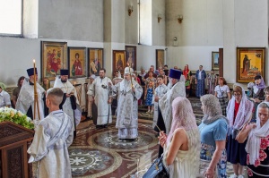 � ������������ ������ ������������� ���������� ��������